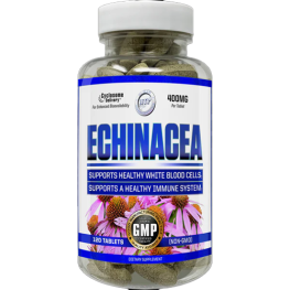 Echinacea Benefits For Immune System Fight Colds Hi-Tech