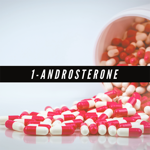 1-Androsterone