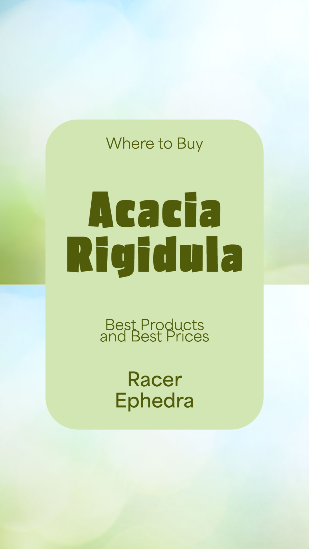 where to buy acacia rigidula