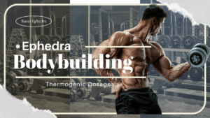 Ephedra Thermogenic for Bodybuilding Dosage