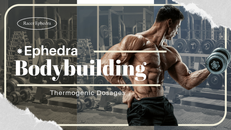 Ephedra Thermogenic for Bodybuilding Dosage