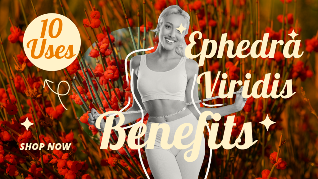 Ephedra Viridis Extract Benefits, Uses, Effects