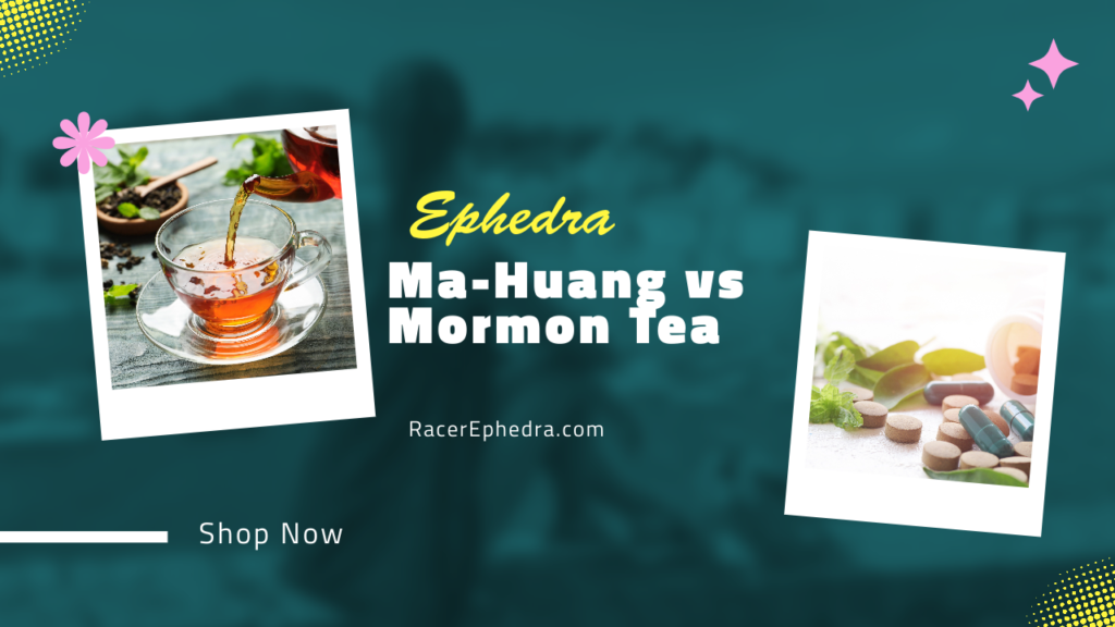 Ma Huang Herb vs Mormon Tea