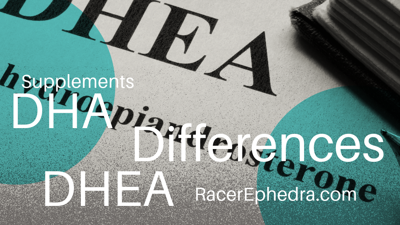Differences Between DHA vs DHEA Supplement Racer Ephedra