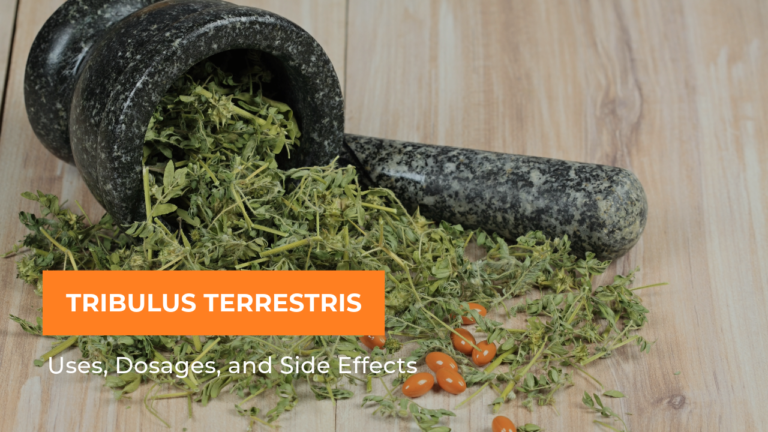 Best Tribulus Terrestris Testosterone Uses, Dosages, and Side Effects